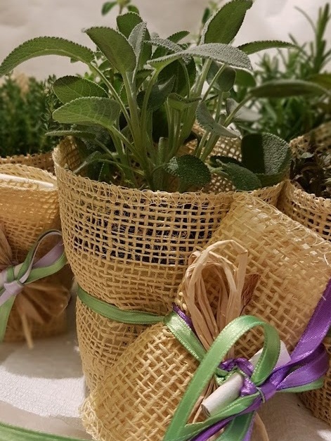 Bomboniera con pianta aromatica