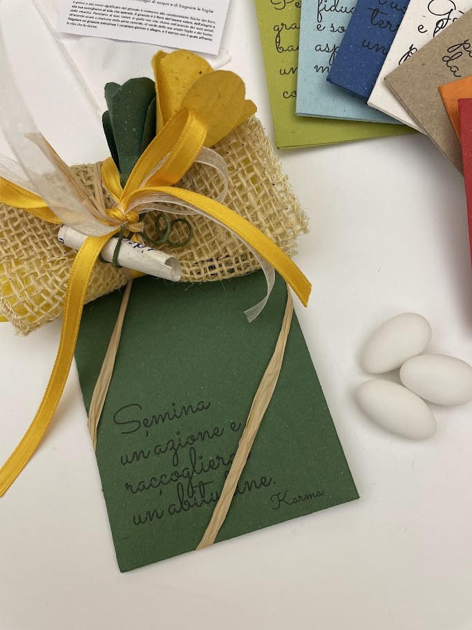 Bomboniere semi da piantare, equo solidale con porta confetti, colori assortiti