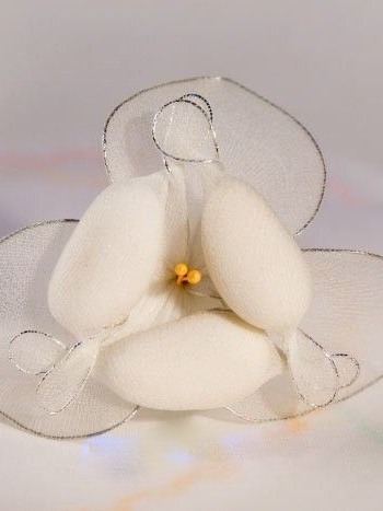 Bomboniera con fiore orchidea Big Aralya