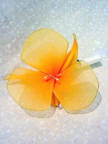bomboniera fiore Big Aralya orchiedea arancione
