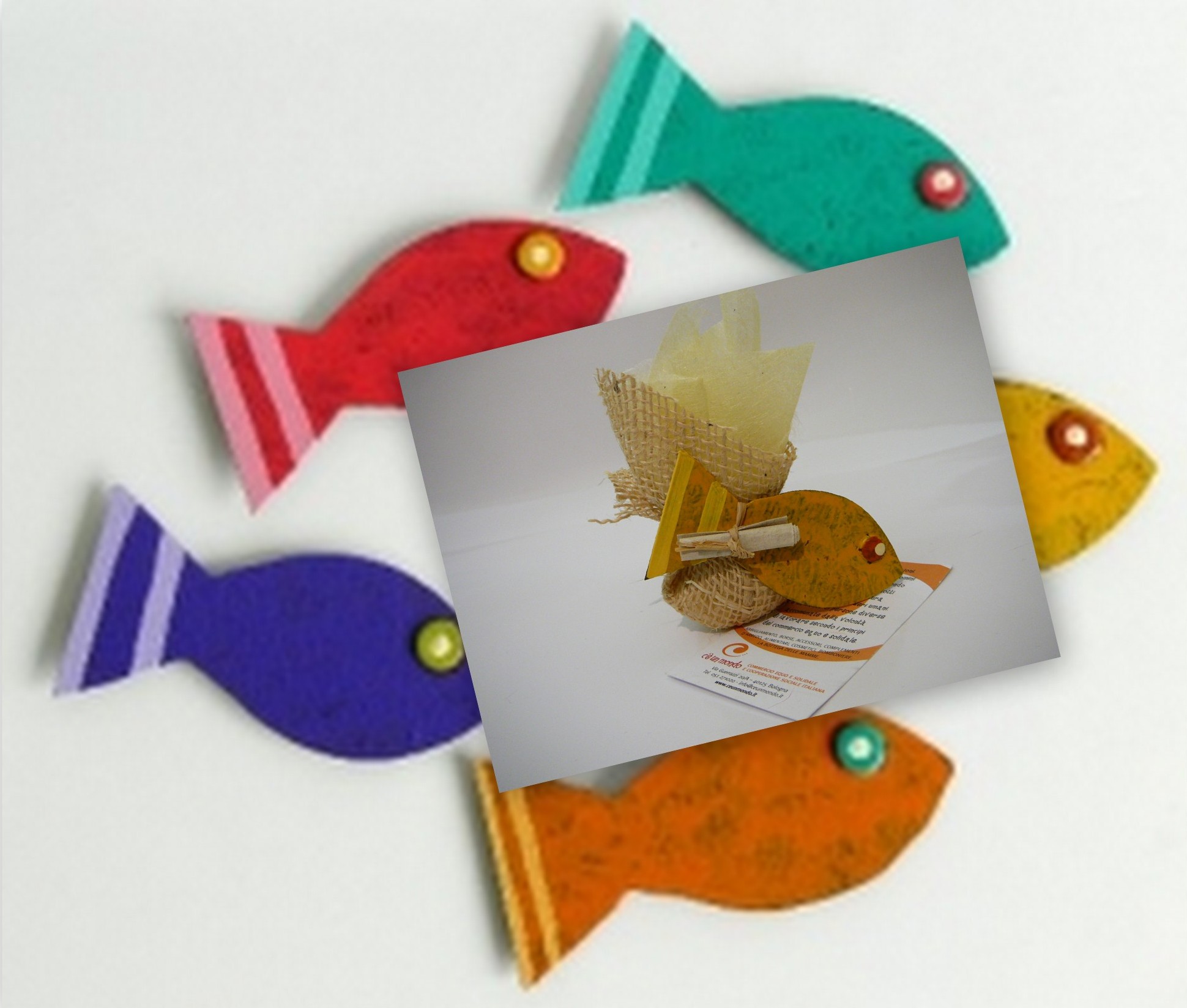 pesce calamita