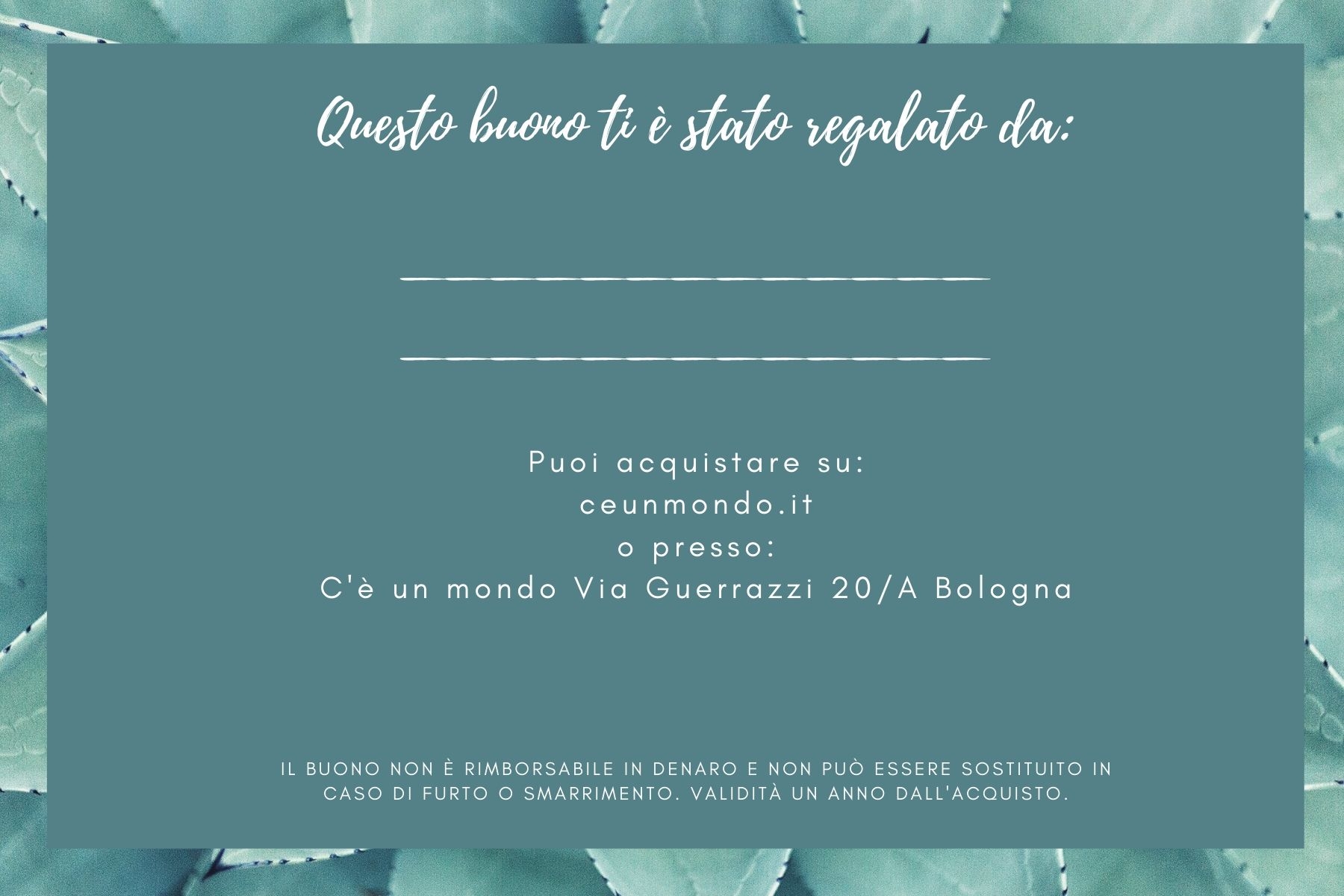 Buono regalo da 50 euro