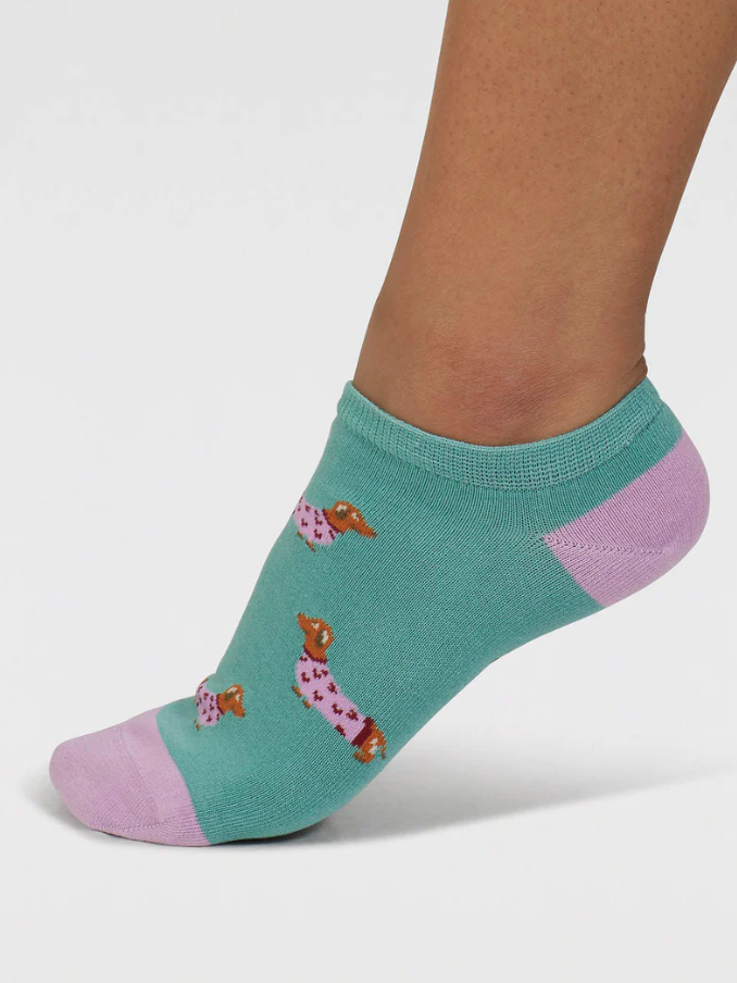 Calzini colorati donna in cotone bio Bassotto tiffany