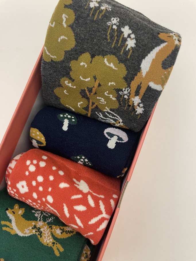 Calzini colorati donna, in cotone Box 4 paia Woodlands