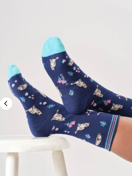 Calzini Donna in Cotone Biologico Blu Gattini