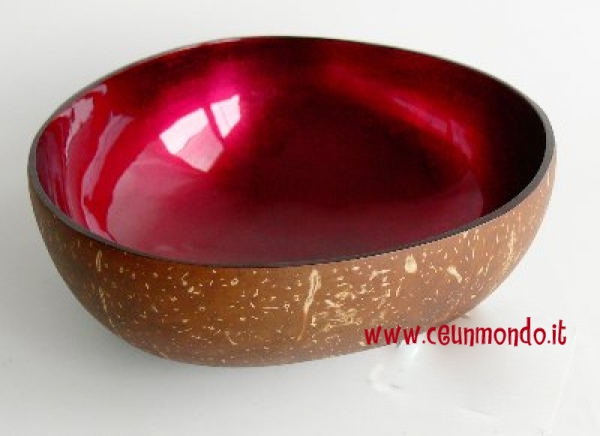 Ciotola in cocco