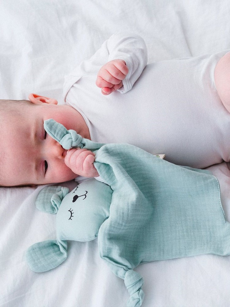 Doudou per neonati in cotone Bio Coniglio celeste