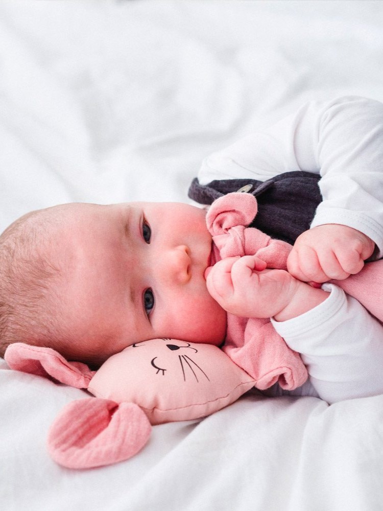 Doudou per neonati in cotone biologico Topolino rosa.