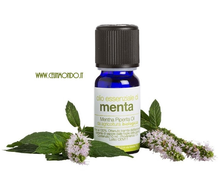 olio-essenziale-di-menta-bio La Saponaria