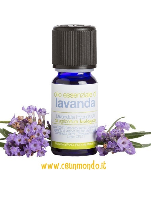 Olio essenziale di Lavanda BIO 10ml - LaSaponaria