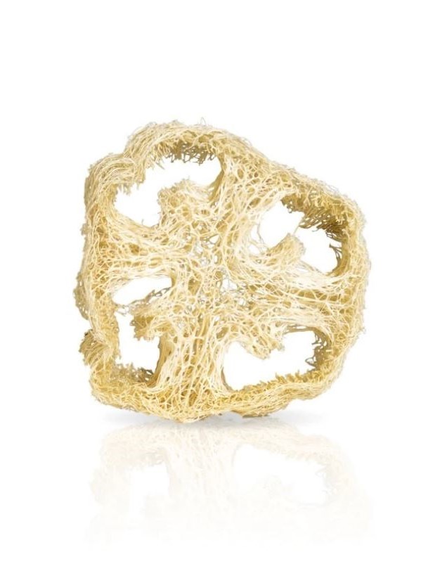 Porta sapone in Luffa naturale.