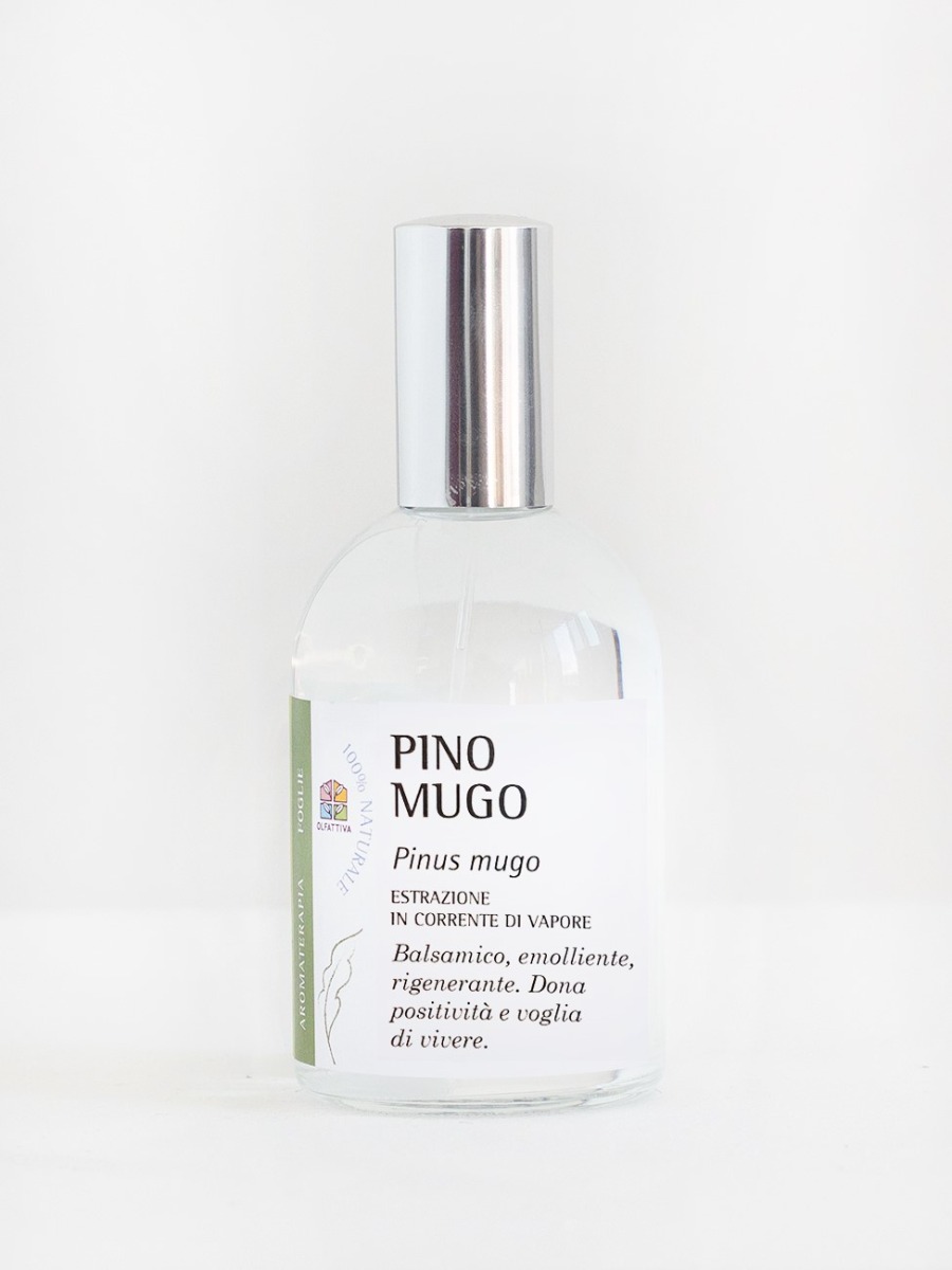 Pino mugo, Olfattiva