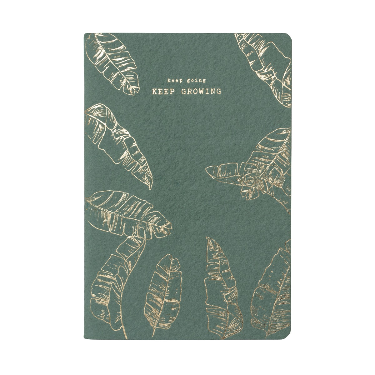 Quaderno A5 Notebook Crescita foglie verde