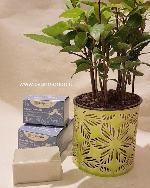 Shampoo solido pruficante e anti-forfora 50gr - La Saponaria