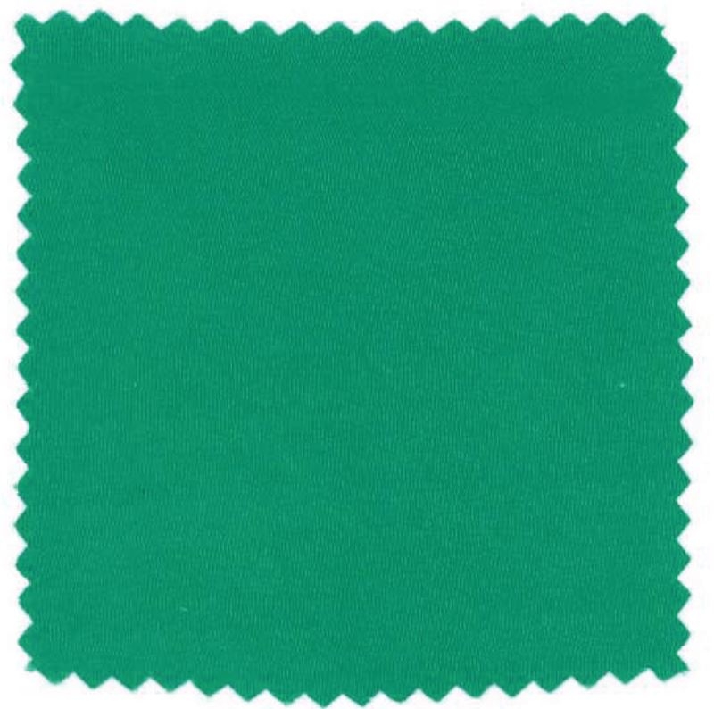 COLORE VERDE dell'abito